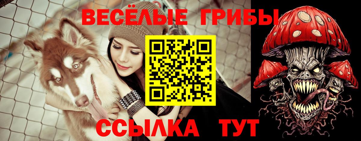 Карпинск  Галлюциногенные грибы мицелий  Вход с VPN 